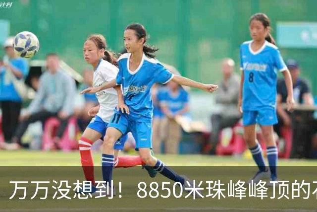 万万没想到！8850米珠峰峰顶的石头，竟来自4亿年前的海底！